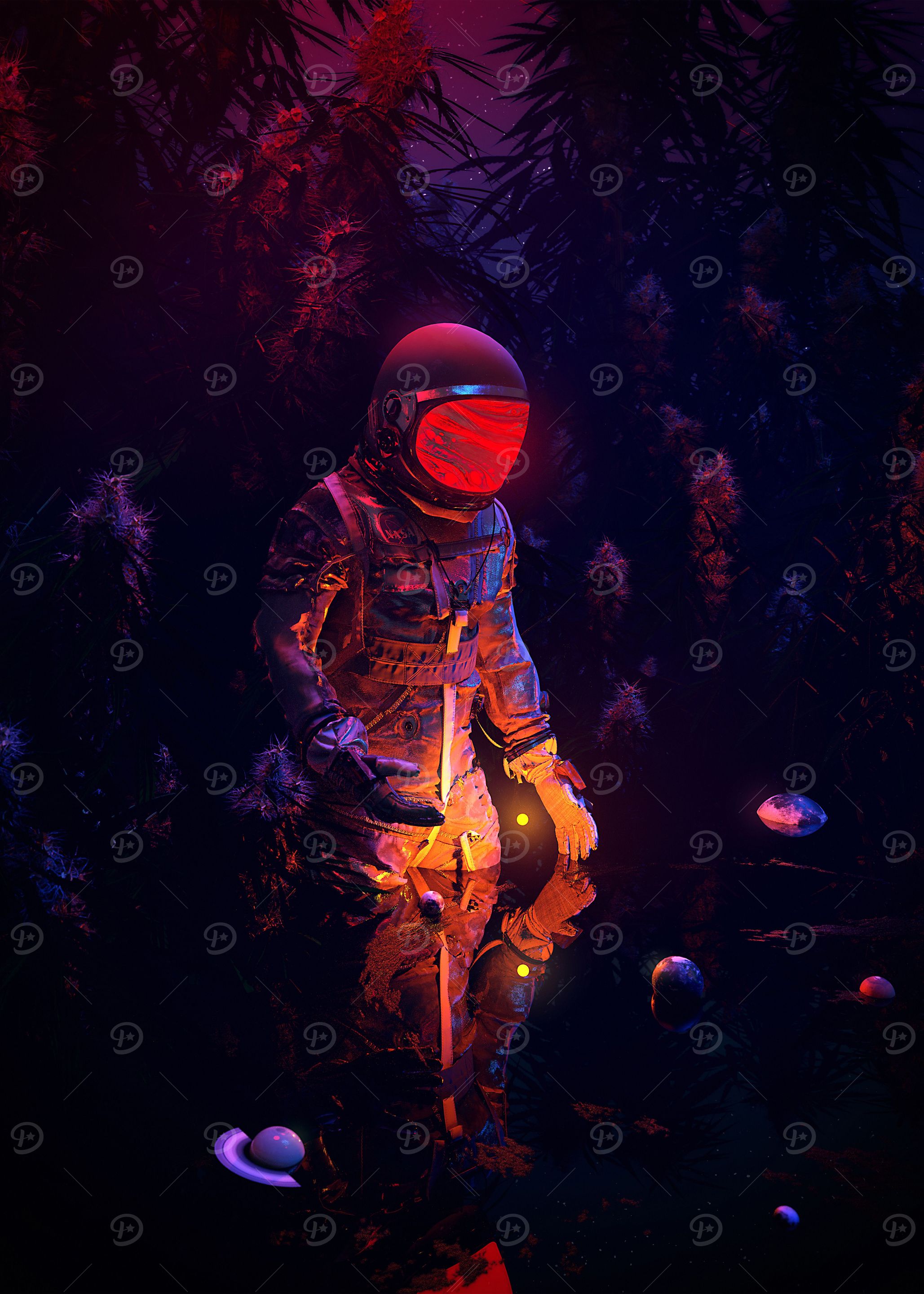 Stellar Spot