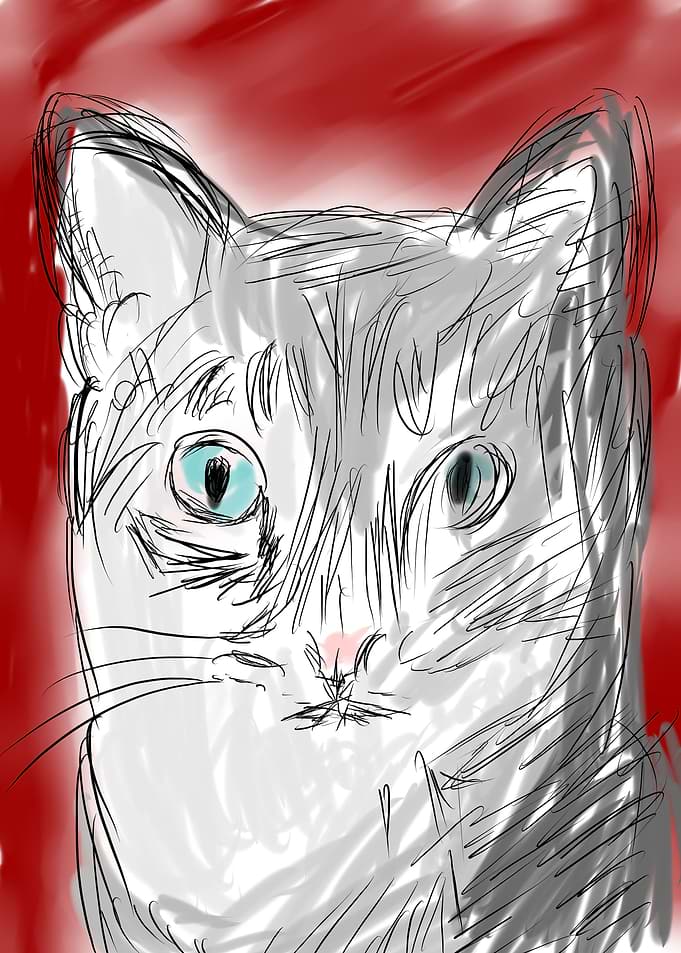 cute cat poster