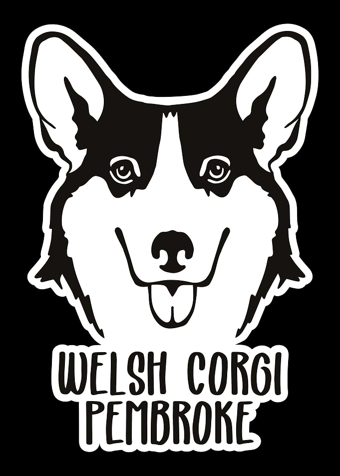 Welsh Corgi Pembroke