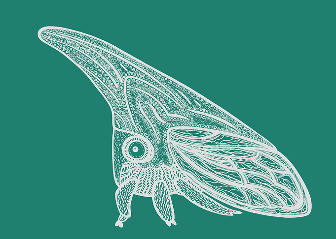 Treehopper Cute Insect Art