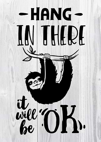 Hang in there sloth