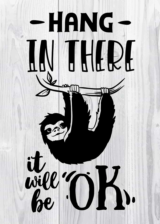 Hang in there sloth