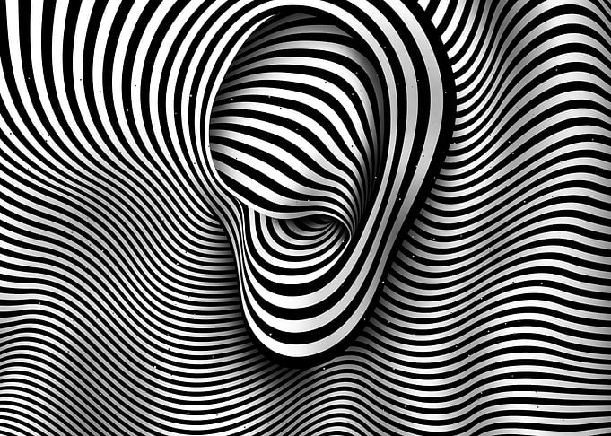 The Ear black and white