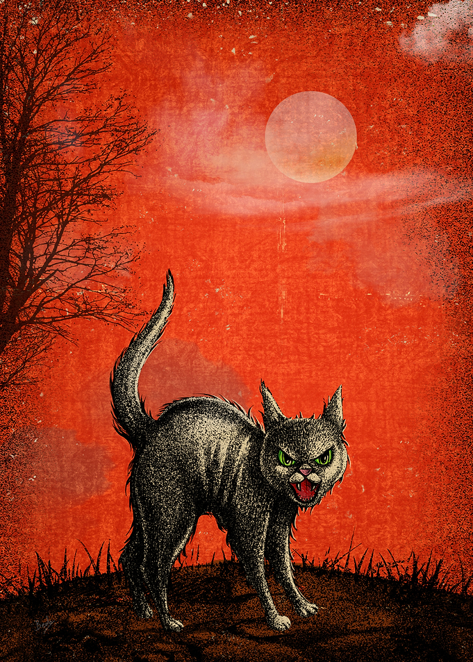 Black Wicked Kitty V2