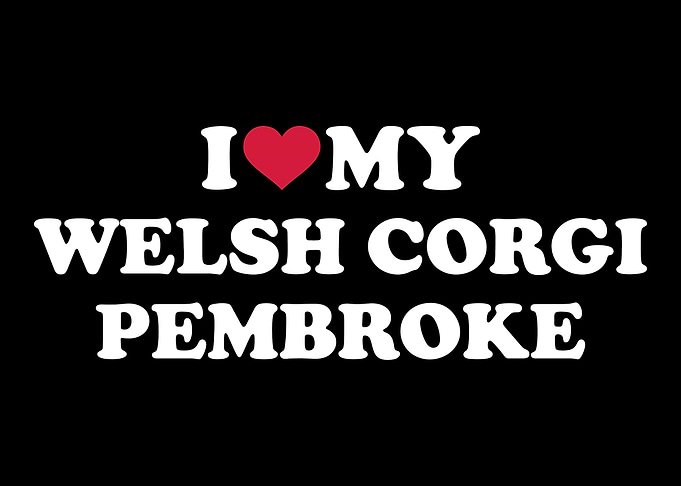 Welsh Corgi Pembroke
