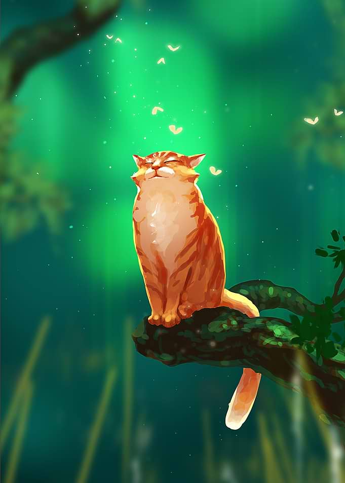Cat in a tree