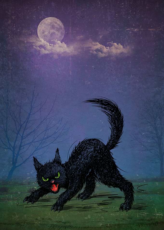 Black Wicked Kitty V1