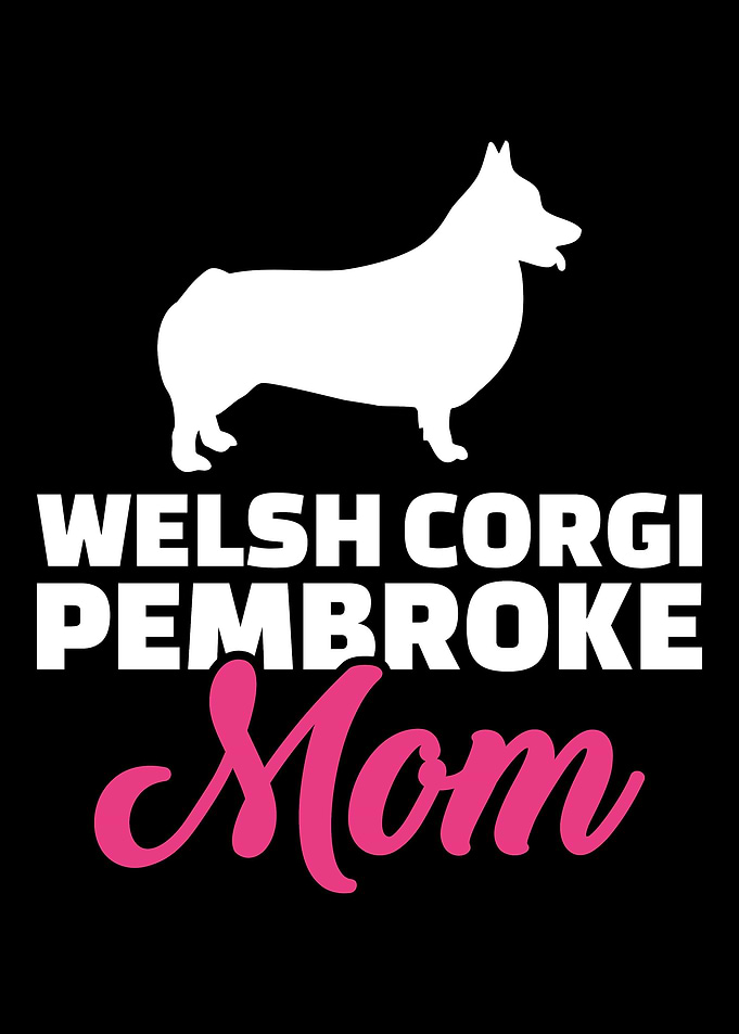 Welsh Corgi Pembroke