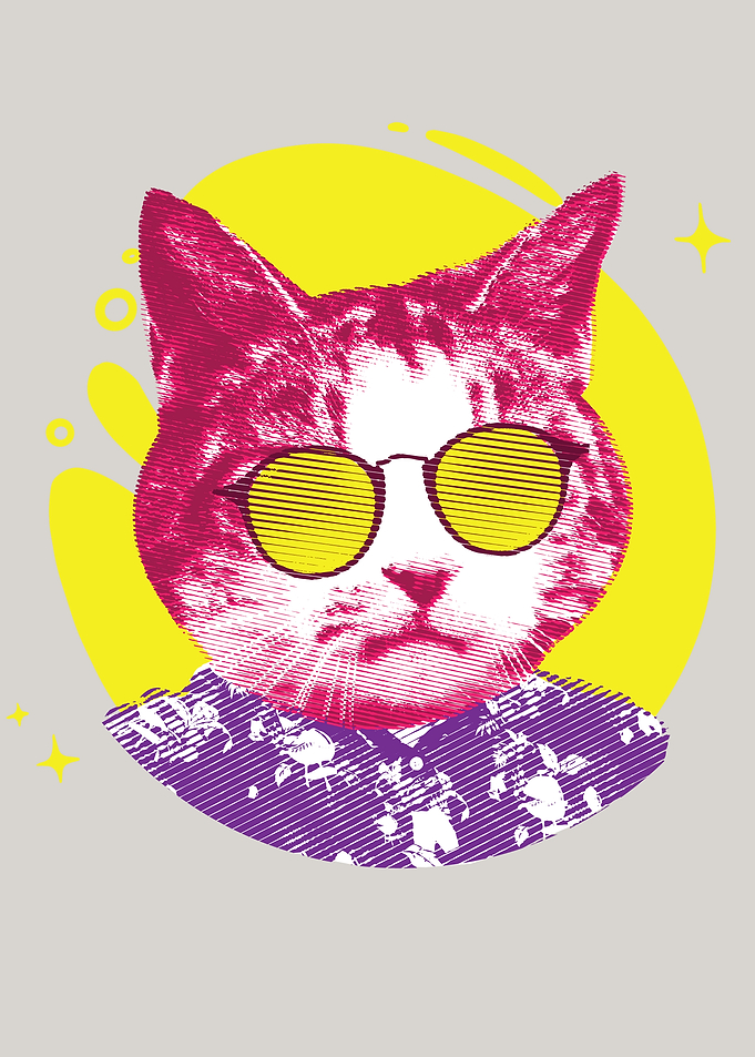 COOL CAT