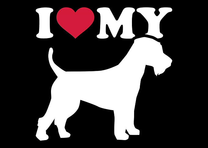 Welsh Terrier