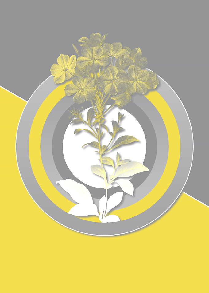 Illuminating Flower Poster