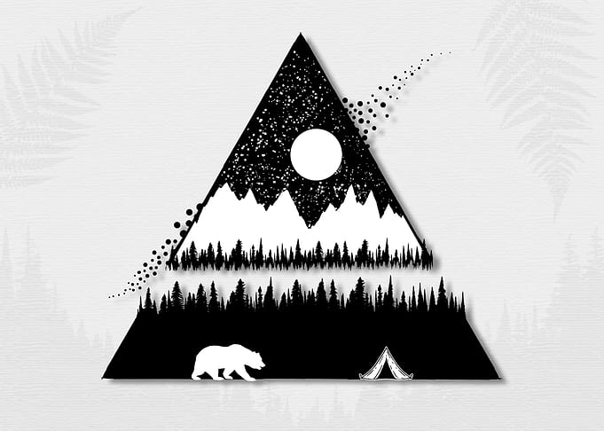 Wild Art