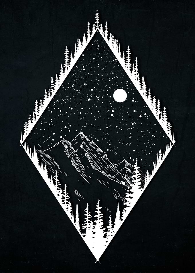 Wild Art
