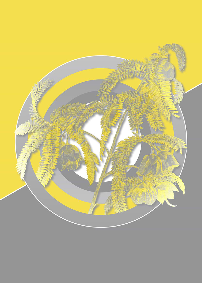Ultimate Gray Retro Flower