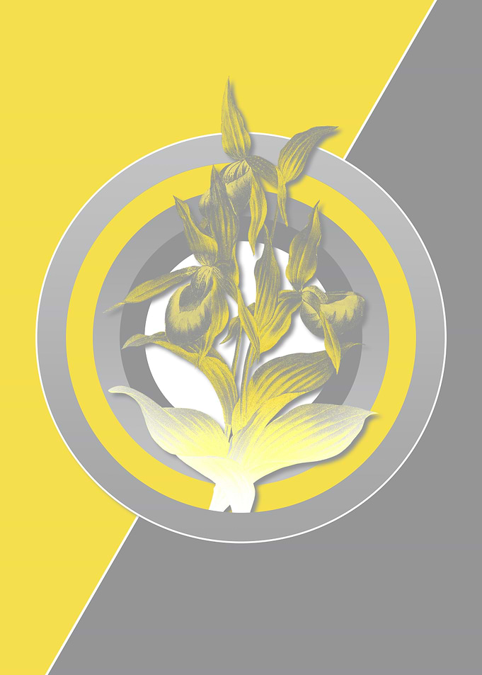 Ultimate Gray Retro Flower