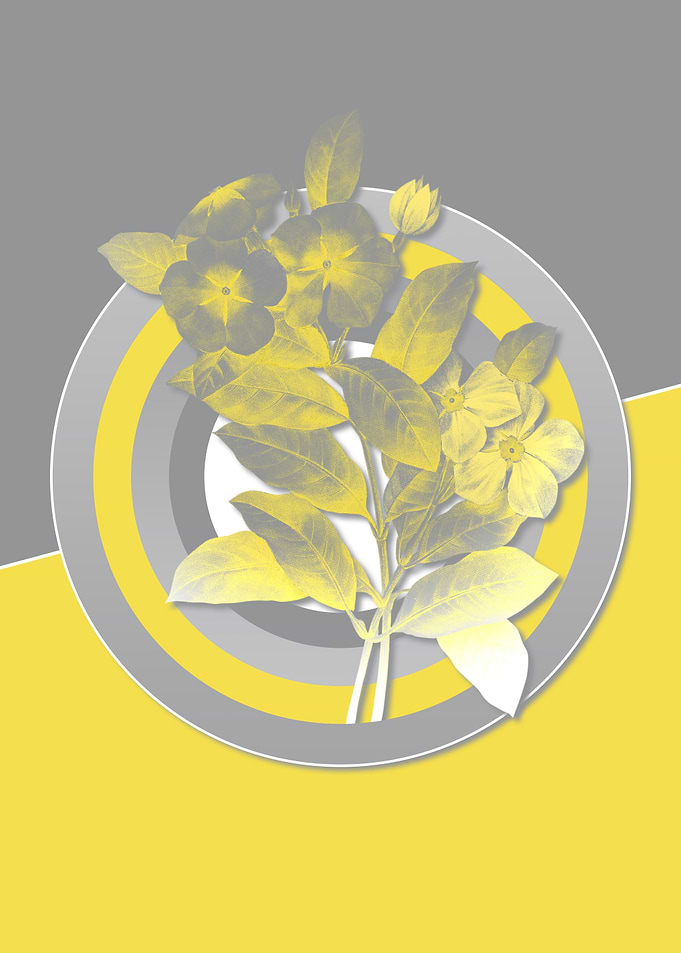 Illuminating Periwinkle