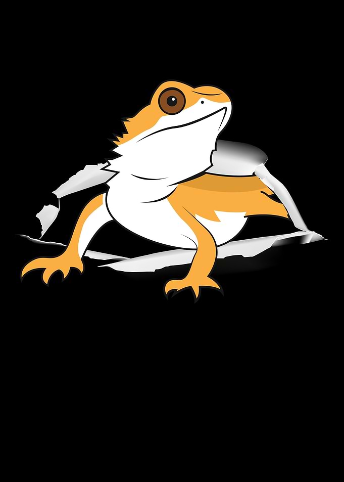 Bearded Dragon Funny