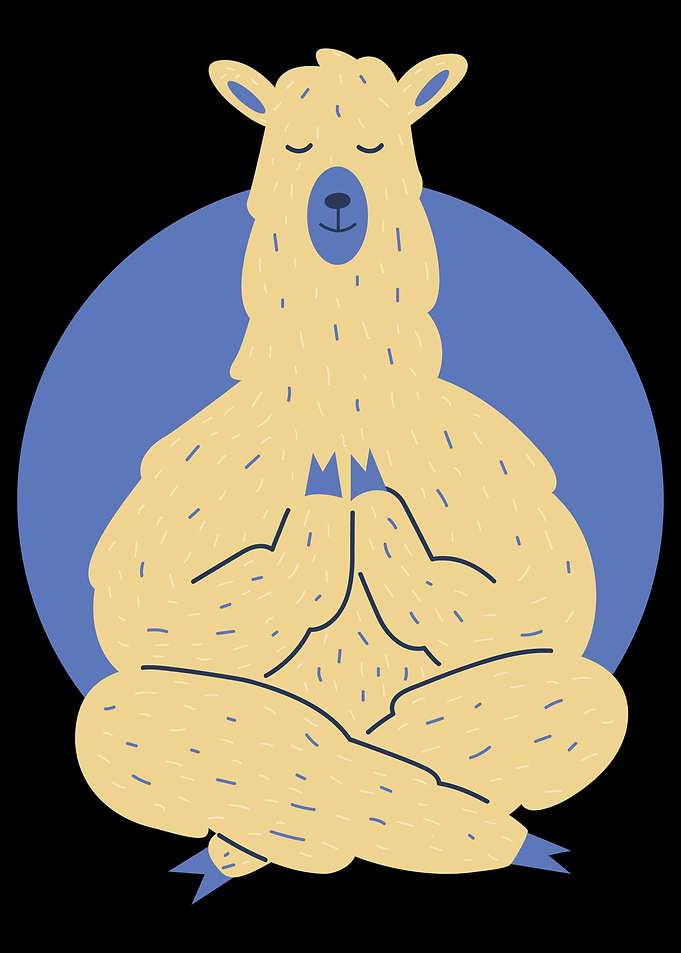 Namaste Yogi Llama Animal