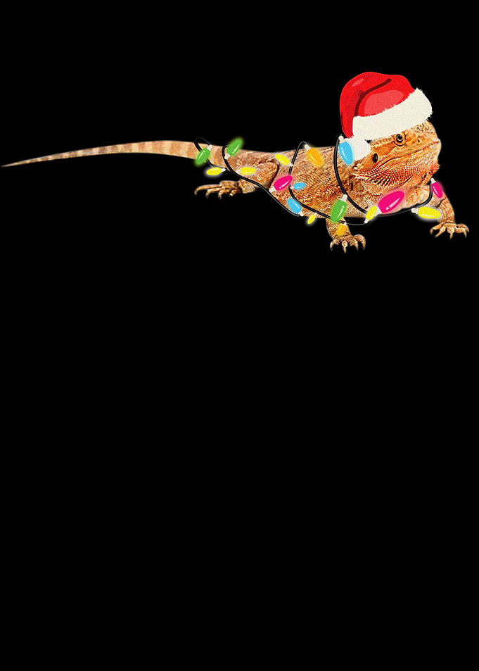 Christmas Funny Bearded