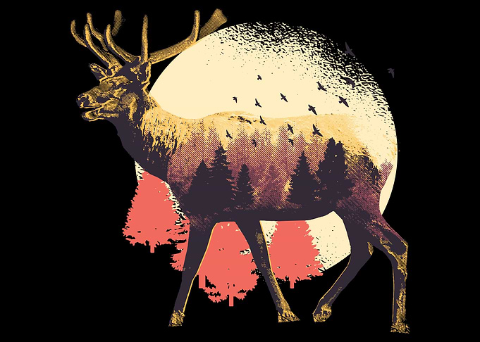 Moose Wild Life Animal Hun