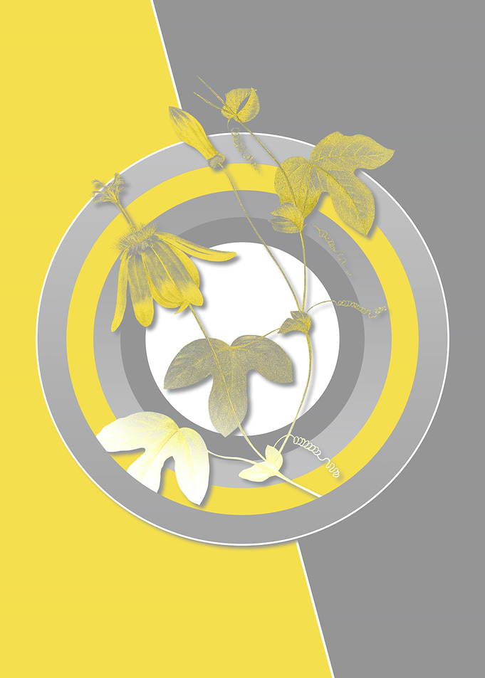 Illuminating Flower Poster