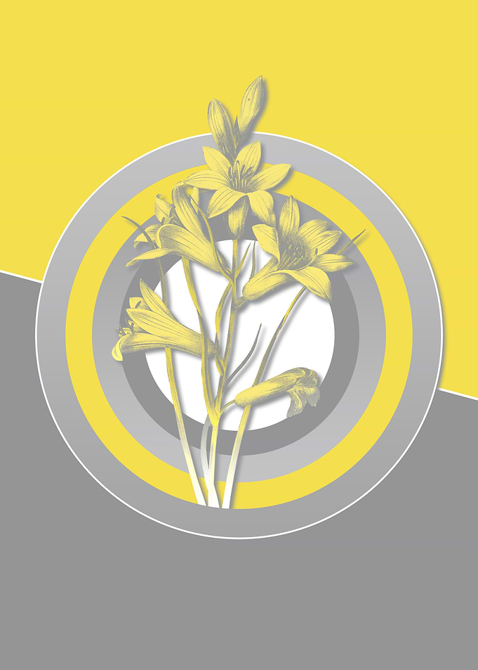 Ultimate Gray Retro Lily