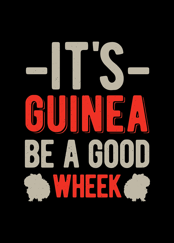 Funny Guinea Pig Quote