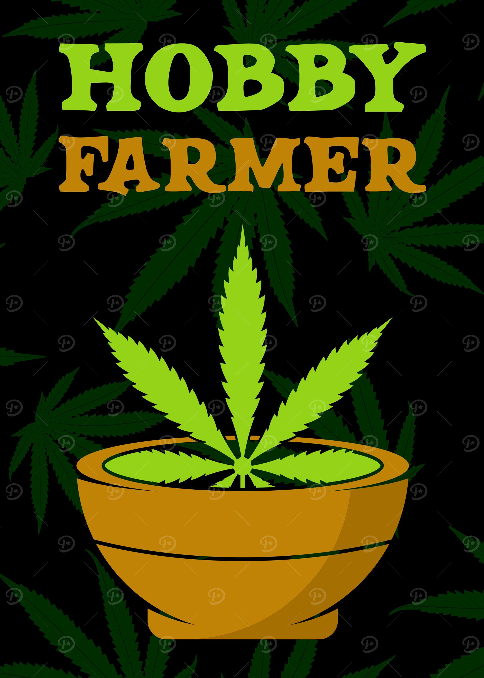 Cannabis Weed Marihuana