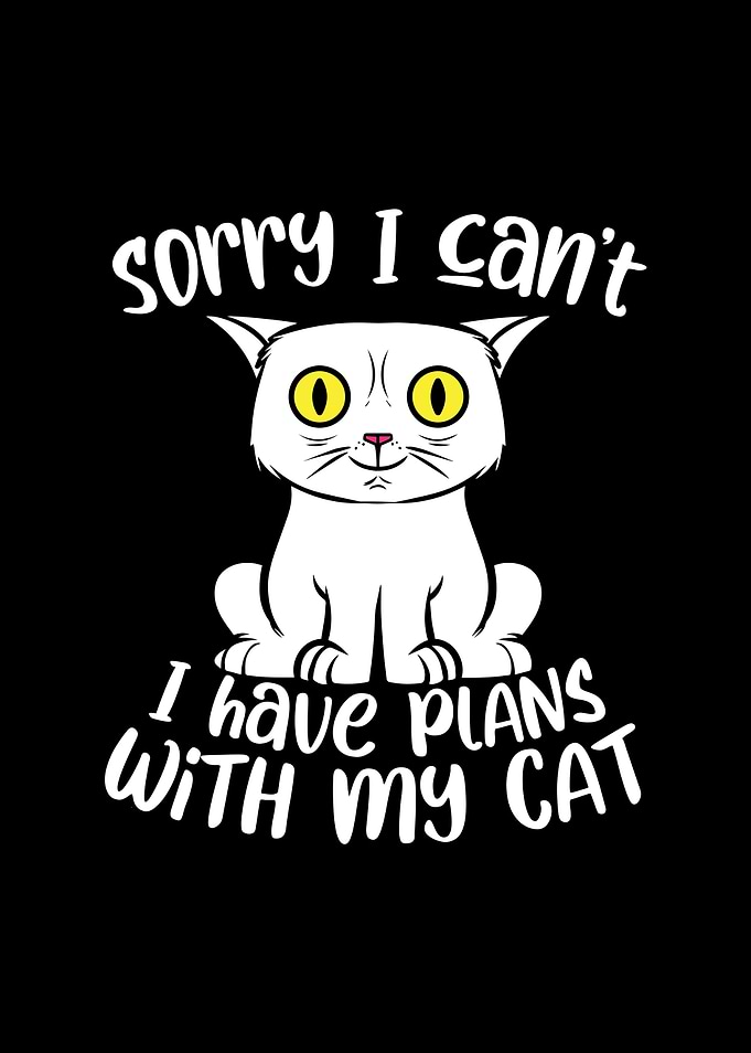Sorry I Cant I Have Plans