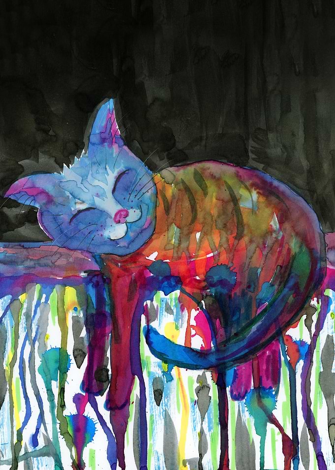 Dormant rainbow cat