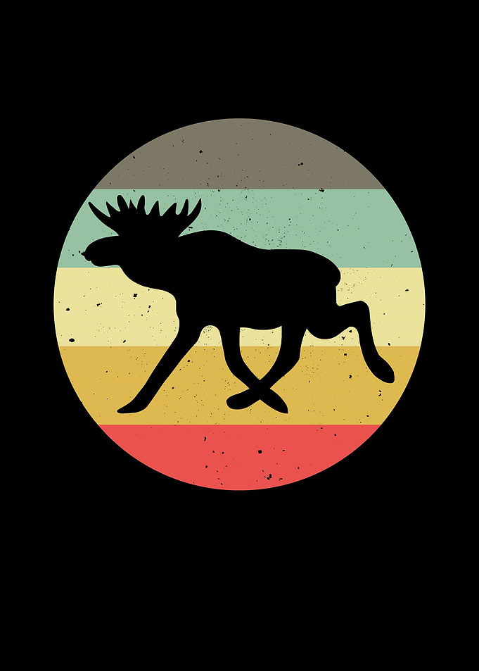 Elk Moose Mooses