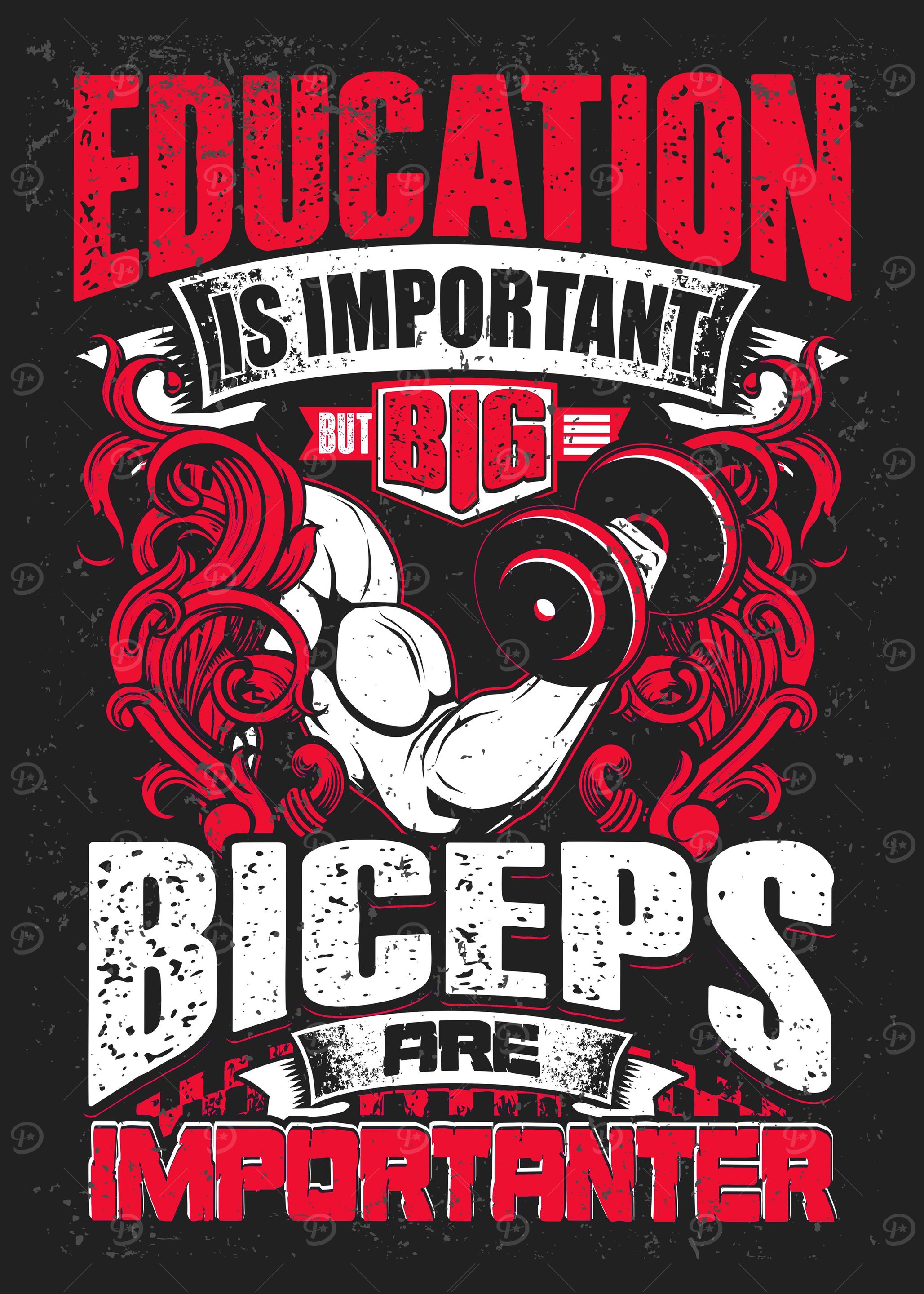 Biceps Workout Gym Fitness