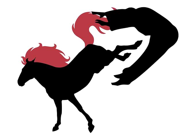Horse kick gift