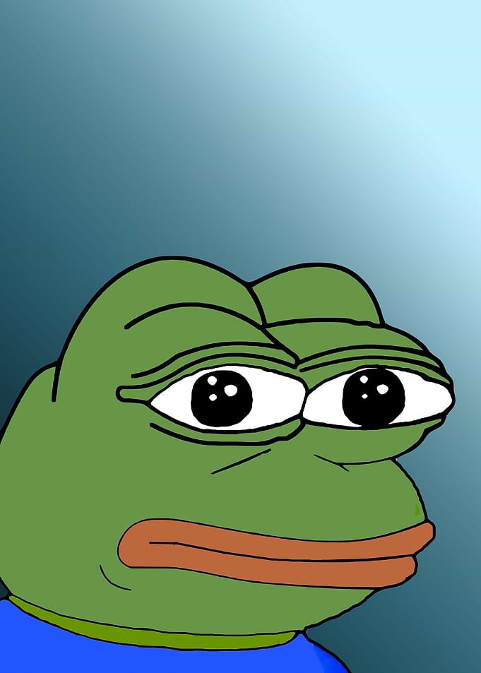 The frog funny meme