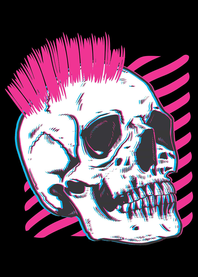 Skeleton Bone Skull Head P