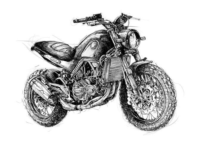 Leoncino 500