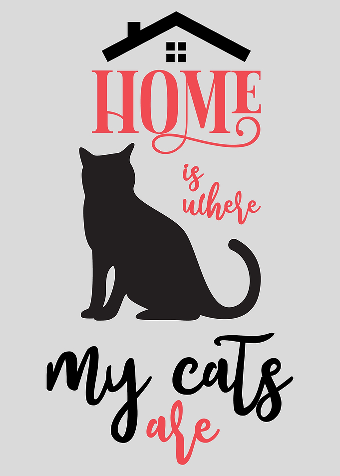 Home is where my cats are