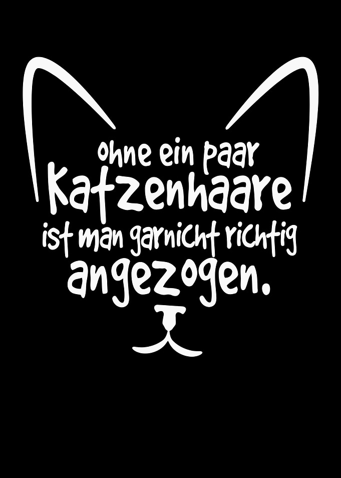 Ein Paar Katzenhaare