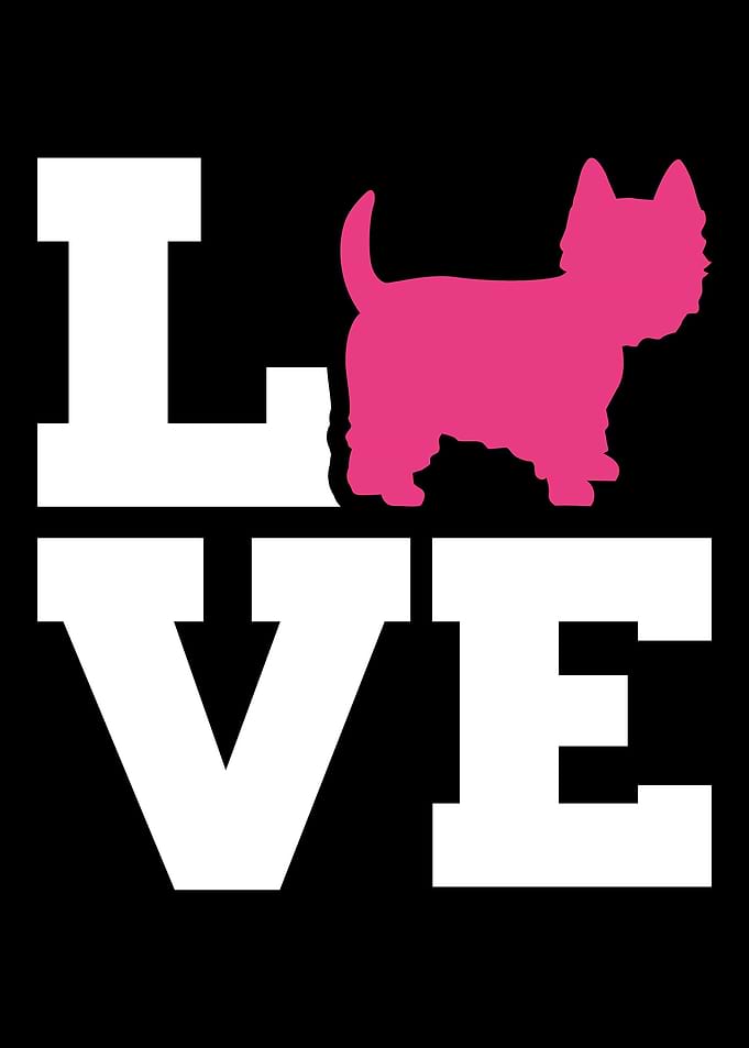 Westie