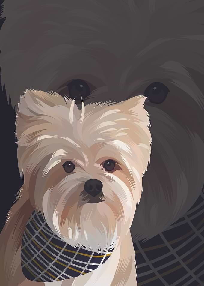 The Dog