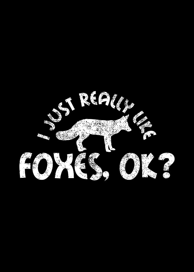 Foxes Fox Lover