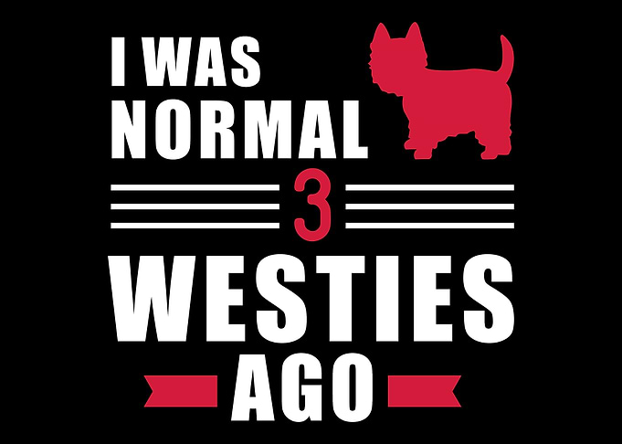 Westie