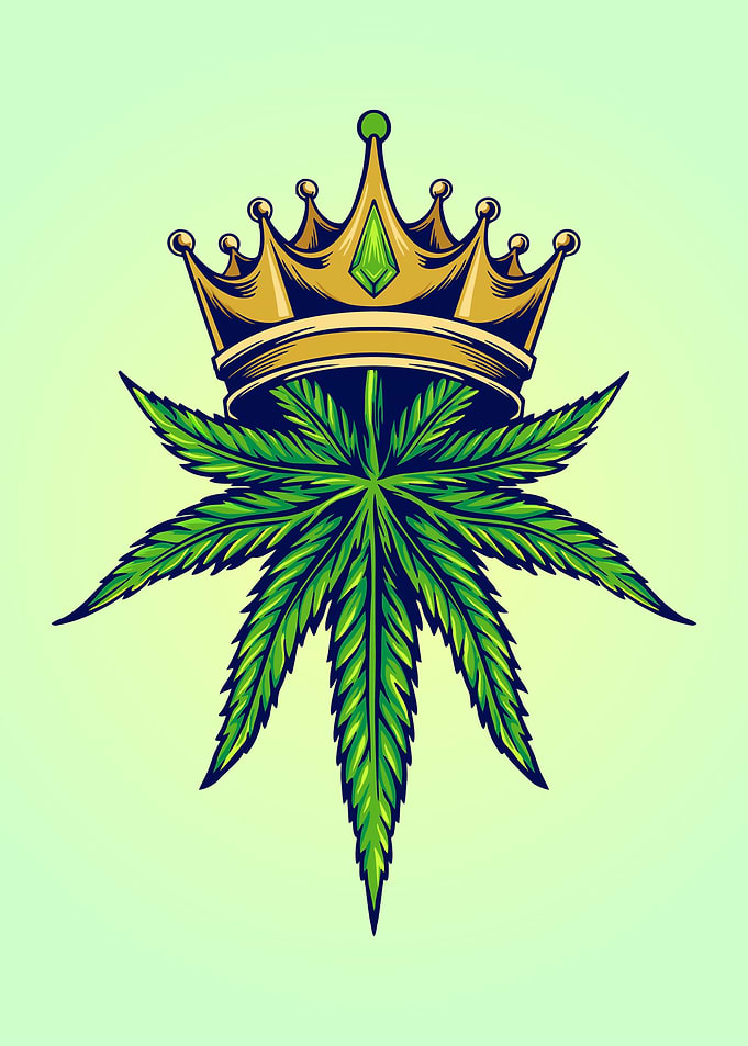 Cannabis