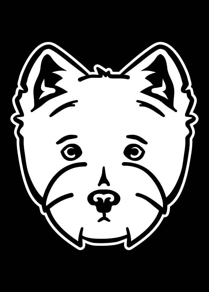 Westie