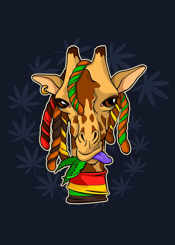 Cannabis