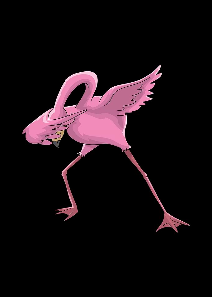 Flamingo Dabbing