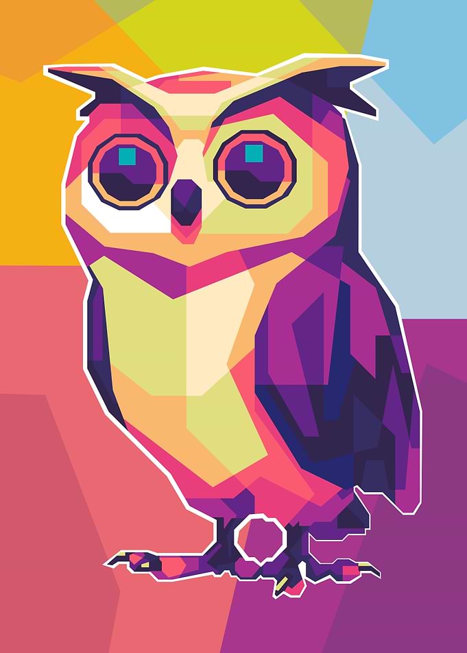 Colorful Owl PopArt