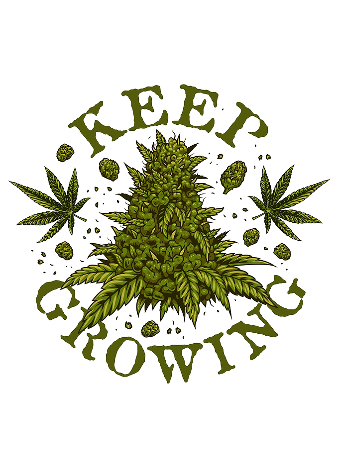 Cannabis