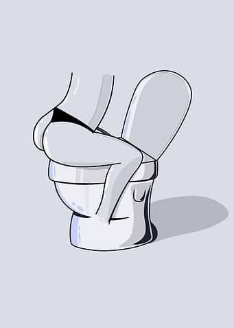 Monsieur Toilette