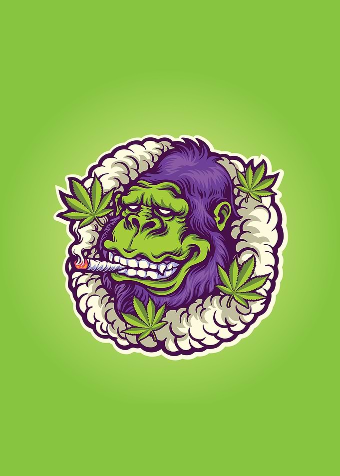 Cannabis